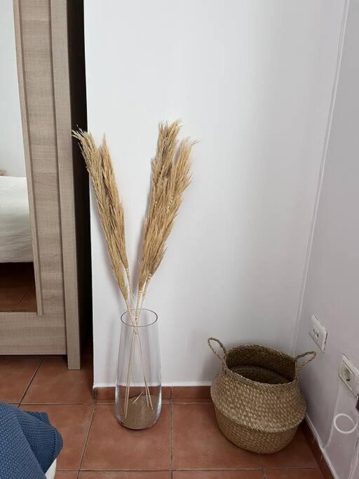 Casa Lunita Apartment Arona  Luaran gambar